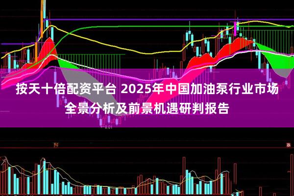 按天十倍配资平台 2025年中国加油泵行业市场全景分析及前景机遇研判报告