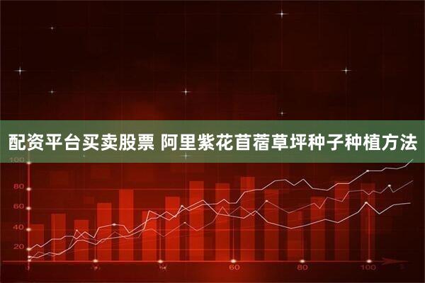 配资平台买卖股票 阿里紫花苜蓿草坪种子种植方法